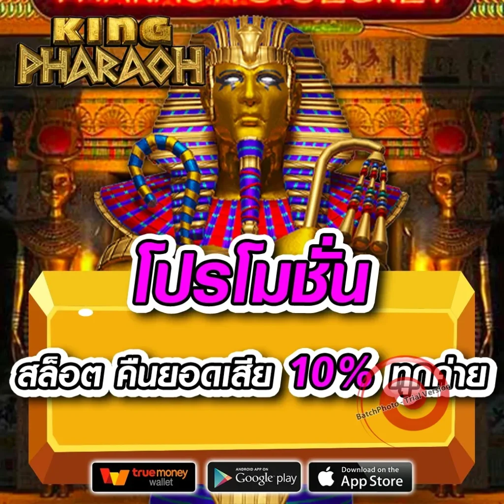 เว็บใหม่ WASP-BET